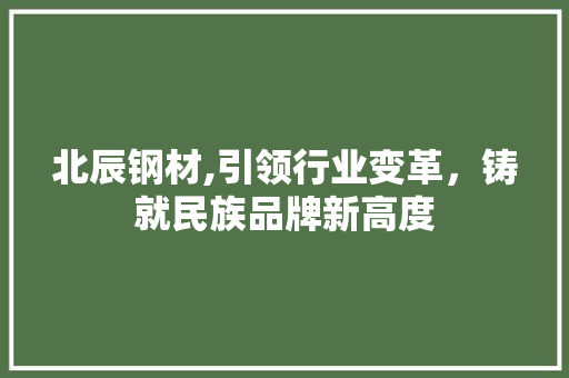 北辰钢材,引领行业变革，铸就民族品牌新高度