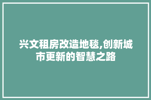 兴文租房改造地毯,创新城市更新的智慧之路