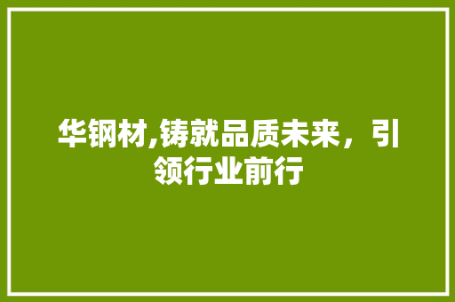 华钢材,铸就品质未来，引领行业前行