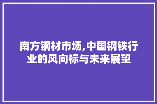 南方钢材市场,中国钢铁行业的风向标与未来展望