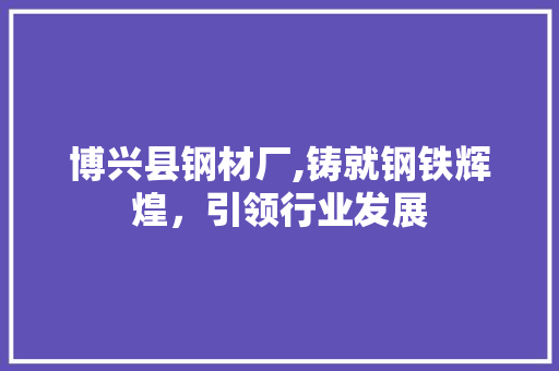 博兴县钢材厂,铸就钢铁辉煌，引领行业发展
