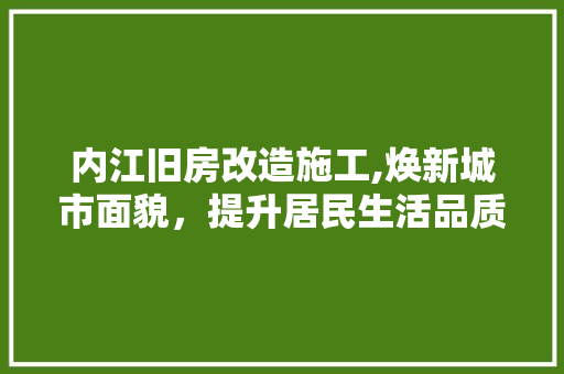 内江旧房改造施工,焕新城市面貌，提升居民生活品质