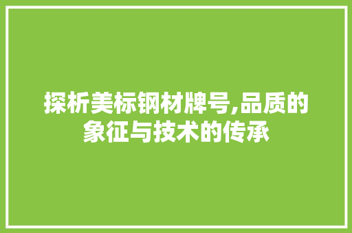 探析美标钢材牌号,品质的象征与技术的传承