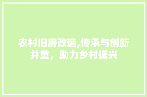 农村旧房改造,传承与创新并重，助力乡村振兴