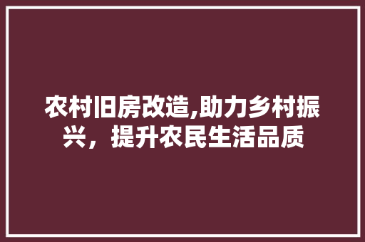 农村旧房改造,助力乡村振兴，提升农民生活品质