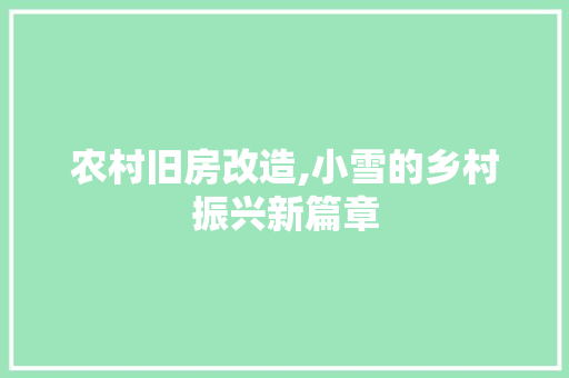 农村旧房改造,小雪的乡村振兴新篇章