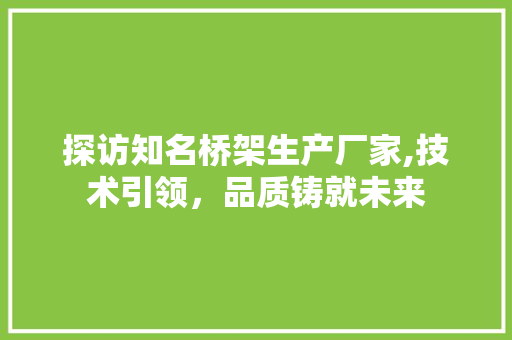 探访知名桥架生产厂家,技术引领，品质铸就未来
