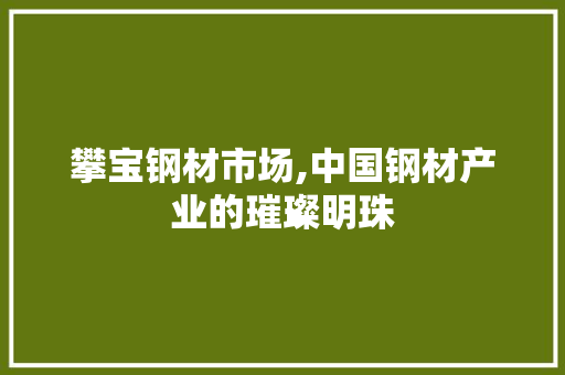 攀宝钢材市场,中国钢材产业的璀璨明珠