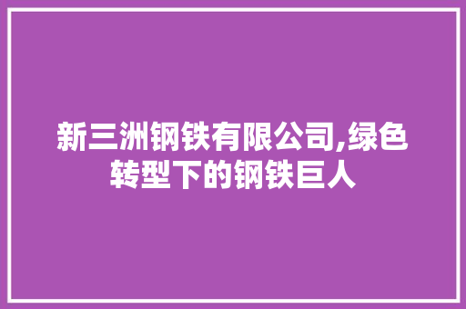 新三洲钢铁有限公司,绿色转型下的钢铁巨人