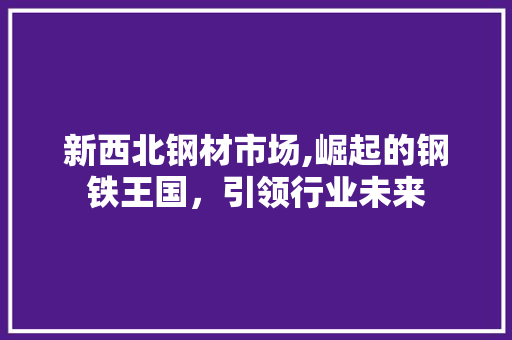 新西北钢材市场,崛起的钢铁王国，引领行业未来