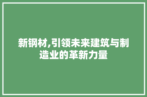 新钢材,引领未来建筑与制造业的革新力量