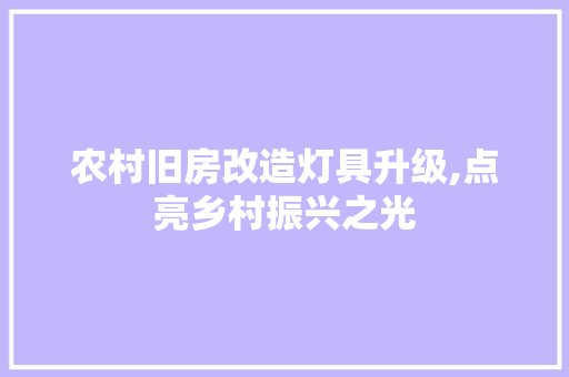 农村旧房改造灯具升级,点亮乡村振兴之光