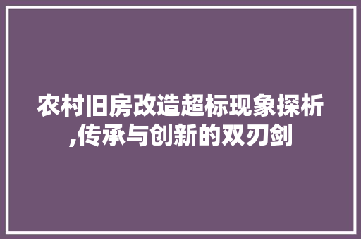农村旧房改造超标现象探析,传承与创新的双刃剑