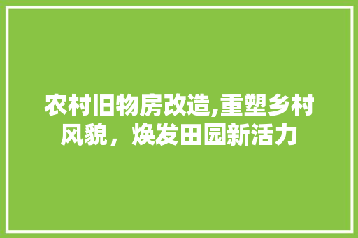 农村旧物房改造,重塑乡村风貌，焕发田园新活力
