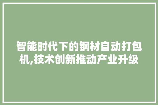 智能时代下的钢材自动打包机,技术创新推动产业升级