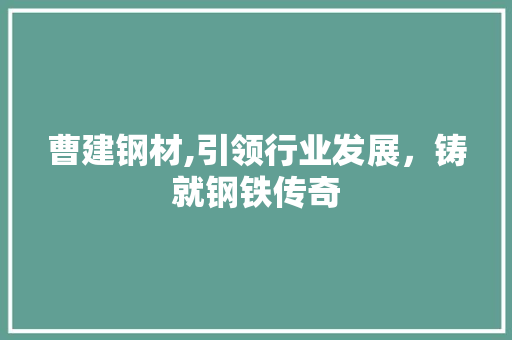 曹建钢材,引领行业发展，铸就钢铁传奇