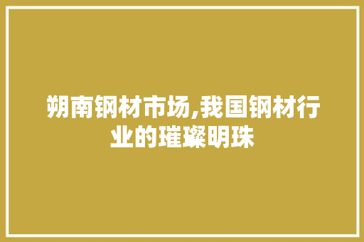 朔南钢材市场,我国钢材行业的璀璨明珠
