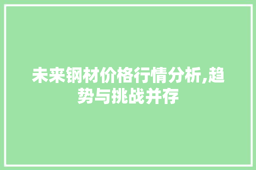未来钢材价格行情分析,趋势与挑战并存