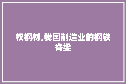 权钢材,我国制造业的钢铁脊梁