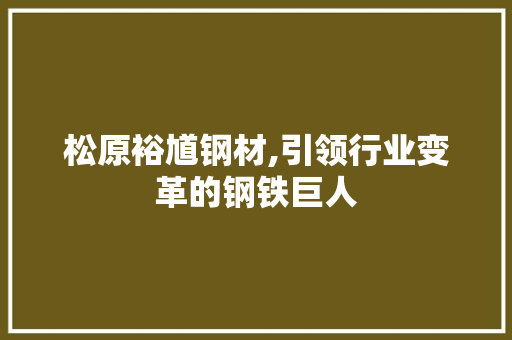 松原裕馗钢材,引领行业变革的钢铁巨人