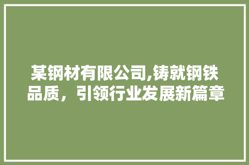 某钢材有限公司,铸就钢铁品质，引领行业发展新篇章