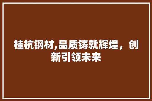 桂杭钢材,品质铸就辉煌，创新引领未来