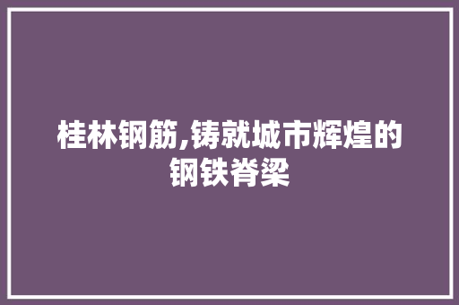桂林钢筋,铸就城市辉煌的钢铁脊梁