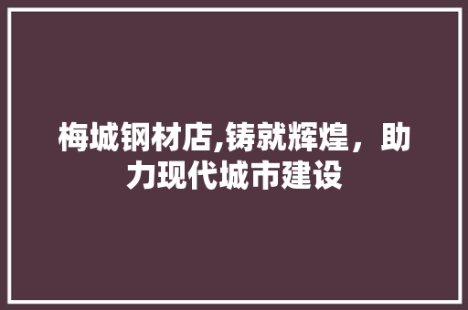 梅城钢材店,铸就辉煌，助力现代城市建设