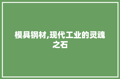 模具钢材,现代工业的灵魂之石