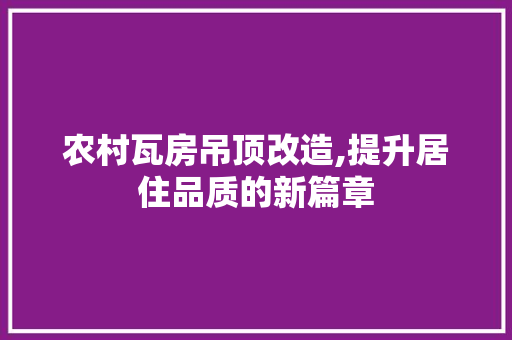 农村瓦房吊顶改造,提升居住品质的新篇章
