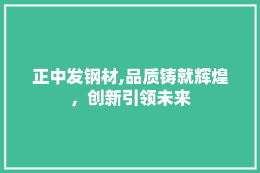 正中发钢材,品质铸就辉煌，创新引领未来
