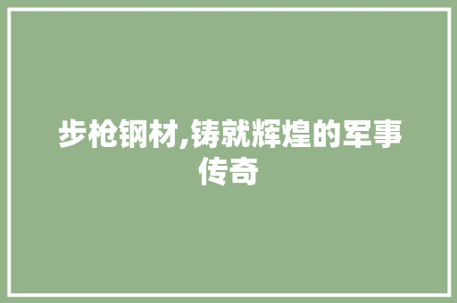 步枪钢材,铸就辉煌的军事传奇