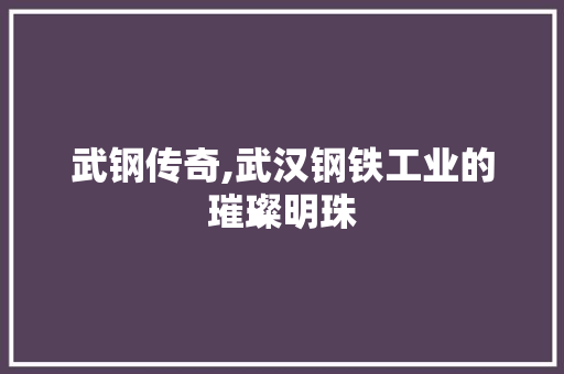 武钢传奇,武汉钢铁工业的璀璨明珠