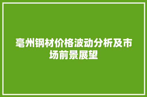 毫州钢材价格波动分析及市场前景展望