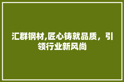 汇群钢材,匠心铸就品质，引领行业新风尚