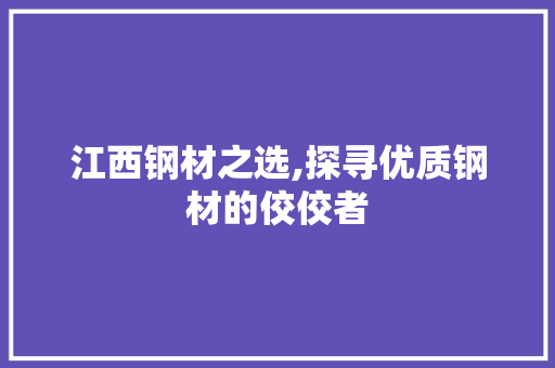 江西钢材之选,探寻优质钢材的佼佼者