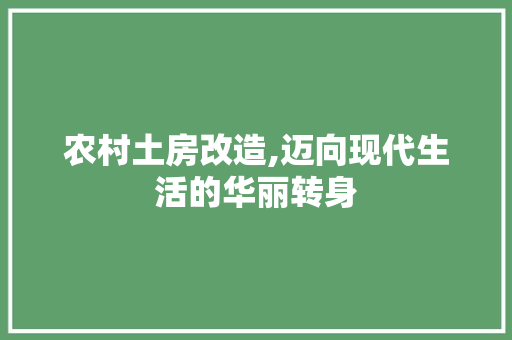 农村土房改造,迈向现代生活的华丽转身