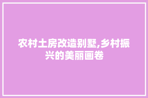 农村土房改造别墅,乡村振兴的美丽画卷