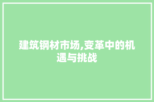 建筑钢材市场,变革中的机遇与挑战