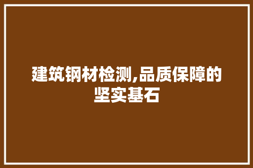 建筑钢材检测,品质保障的坚实基石