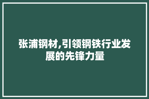 张浦钢材,引领钢铁行业发展的先锋力量