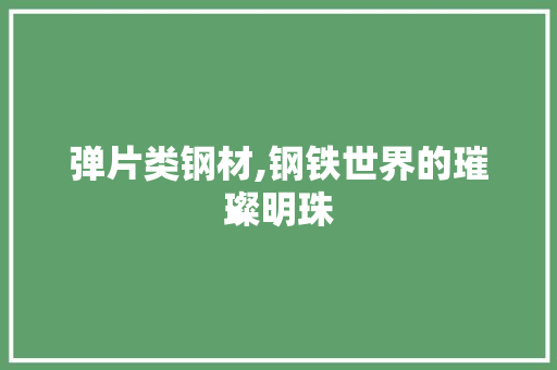 弹片类钢材,钢铁世界的璀璨明珠