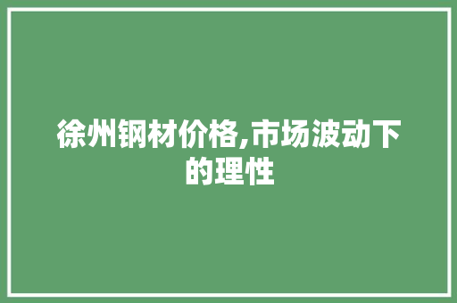 徐州钢材价格,市场波动下的理性