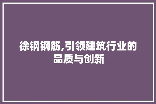 徐钢钢筋,引领建筑行业的品质与创新