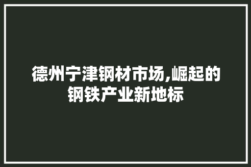 德州宁津钢材市场,崛起的钢铁产业新地标