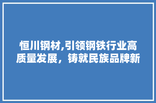 恒川钢材,引领钢铁行业高质量发展，铸就民族品牌新辉煌