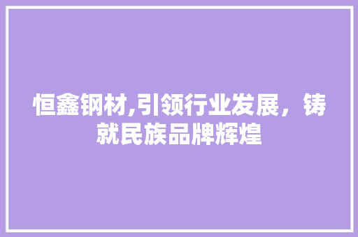 恒鑫钢材,引领行业发展，铸就民族品牌辉煌