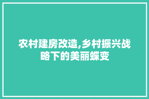 农村建房改造,乡村振兴战略下的美丽蝶变