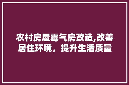 农村房屋霉气房改造,改善居住环境，提升生活质量