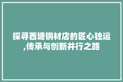 探寻西塘钢材店的匠心独运,传承与创新并行之路